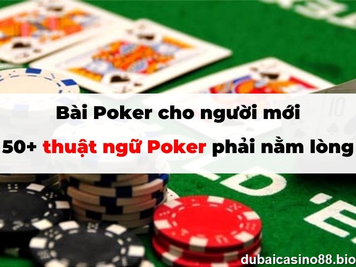 Bài Poker cho người mới: 50+ thuật ngữ Poker phải nằm lòng